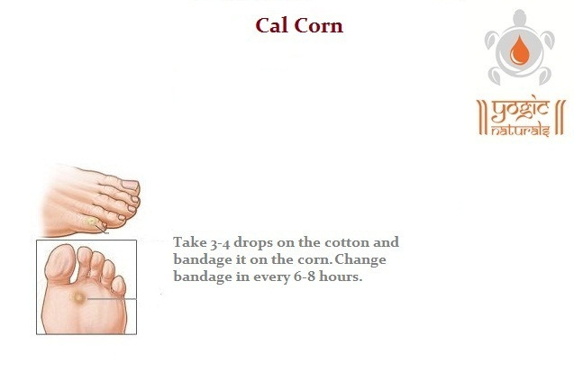 Cal Corn